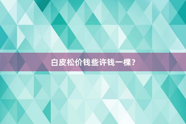 白皮松价钱些许钱一棵？