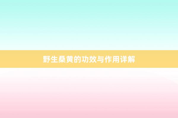 野生桑黄的功效与作用详解